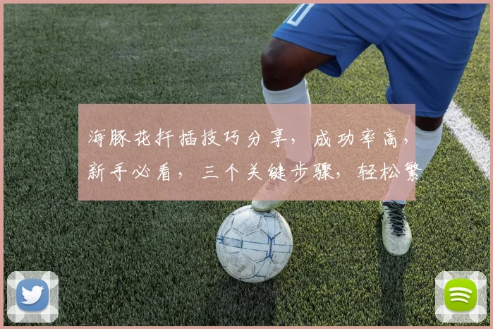 海豚花扦插技巧分享，成功率高，新手必看，三个关键步骤，轻松繁殖